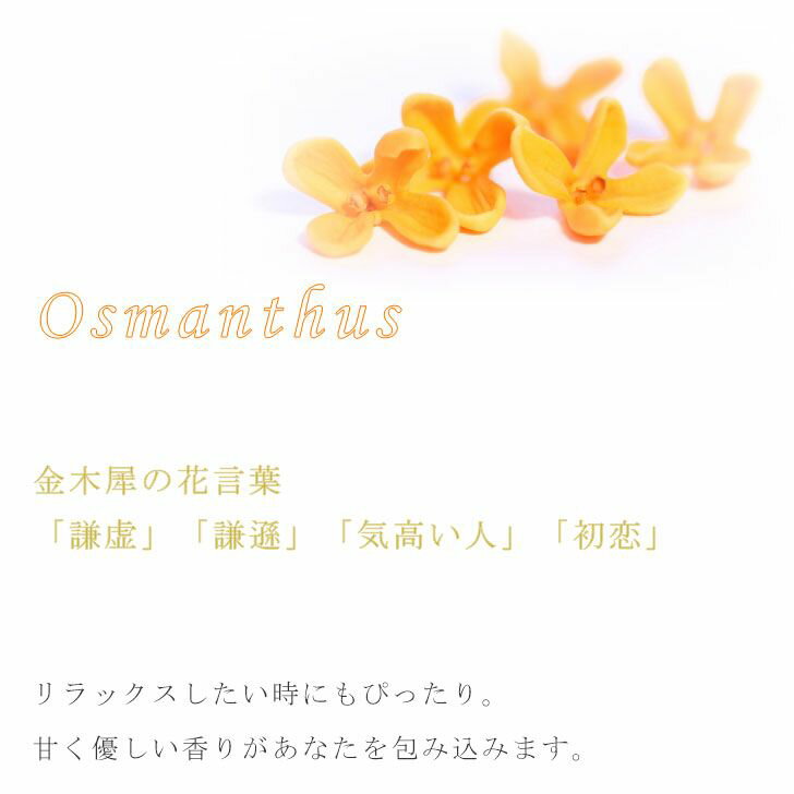 【ポイント5倍】 ★GPP 芳香剤 金木犀（キンモクセイ） リードディフューザー 22813001 アロマ 気持ちが落ち着く リラックス イライラ緩和 リビング 玄関 洗面所 寝室 ギフト スティック