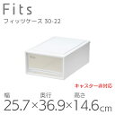 【SS価格】 20%OFF 収納ケース Fits 天馬 フィッツケース ミニ 収納ボックス 衣類収納 寝室 押入れ ホワイト 白 クリア カプチーノ ベージュ スタッキング 積み重ね 日本製 整理整頓 片付け fitsケース まとめ買い リニューアル 環境にやさしい サスティナブル(3)