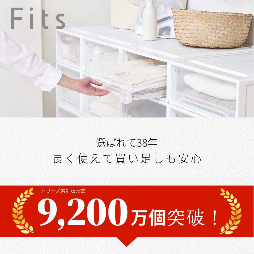 収納ケース Fits 天馬 フィッツケース ビッグ 収納ボックス 衣類収納 寝室 押入れ ...