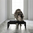 【ポイント5倍】 ◎★ 山崎実業 ペットフードボウルスタンドセット タワー トール ブラック 黒 水 フード 犬 猫 yamazaki tower