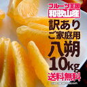 八朔 はっさく 訳あり ご家庭用 10kg 送料無料【予約1...
