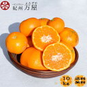 100箱限定セール!みかん10kg 訳あり ご家庭用 和歌山...