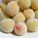 冷凍梅 フルーツ王国 和歌山県産 産地直送 冷凍うめ 500g クール便 送料無料