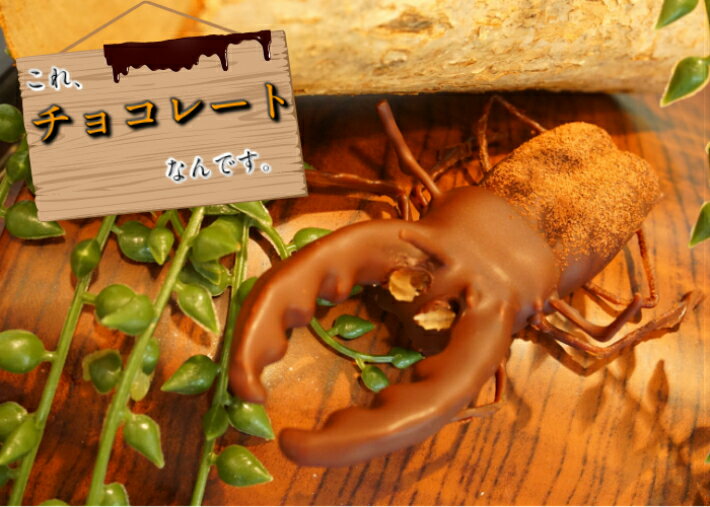 ワクワク 超リアル♪ クワガタチョコレート! おもしろ チョコレート お菓子 チョコ ギフト こども キッズ 昆虫 クワガタ くわがた 昆虫採集 子ども 取り寄せ スイーツ ドッキリ サプライズ お祝い 子供 誕生日 プレゼント お土産 贈り物 ホワイトデー バレンタイン 本命