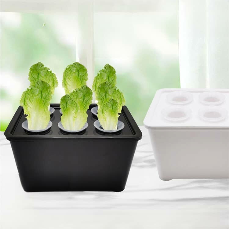 ケイツーショップ楽天市場店の水耕栽培キット 野菜栽培セット 無土壌栽培ボックス 栽培セット 無土壌栽培ボックス 【5点セット】 種子栽培セット 6穴 栽培セット 室内 屋外 兼用 栄養豊富 【5点セット】 初心者向け 大型 キット プランター 耐久性素材 野菜 果物 ハーブ 花 苗 新鮮収穫｜アングル2