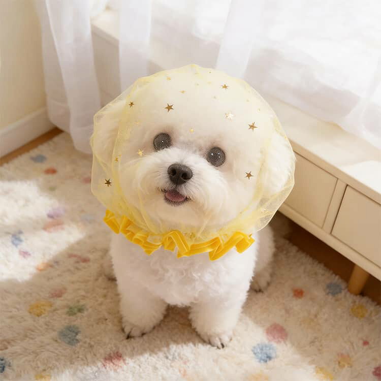 しつけ用 犬用 拾い食い防止 【4個セット】 噛め防止 ネット 【4個セット】 メッシ...