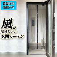 玄関用 メッシュ カーテン 面テープ 簡単設置 賃貸住宅OK ネット のれん 虫除け 換気 風通し 風が気持ちいい 害虫対策 目隠し メッシュカーテン 軽量 勝手口 扉 ドア 蚊対策