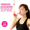 【メール便送料無料】エクササイズ ダイエット ダイエット器具...