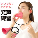 【メール便送料無料】ボイストレーニング 自宅 防音 大声 聞こえない 消音 一人カラオケ グッズ ボ ...