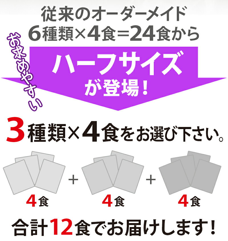 ZIP・めざましテレビで紹介 ハーフサイズ登場！ハーフオーダーメイド12食【送料無料】こんにゃくラーメン パスタ 焼きそば ダイエット こんにゃく ランキング ローカロリー 蒟蒻麺 蒟蒻ラーメン ダイエットラーメン 糖質制限 ダイエットフード 低GI 置き換え