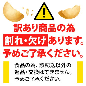 【訳あり・割れ】豆乳おからクッキーお試し250g選べる2タイプ