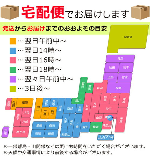 ダイエット食品 糖質制限 こんにゃくラーメン ダイエットラーメン 同じ味 選べる24食セット ローカロリー こんにゃく ダイエット食品 満腹感 置き換え ダイエット 腹持ち 蒟蒻麺 低gi こんにゃく麺 低糖質 全6味 【送料無料】 2