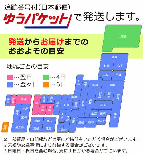 【メール便送料無料】3L 大きいサイズ ハイウエスト ハイウエストショーツ ヒップアップ 引き締め インナー ガードル 補正下着 ダイエット 着圧 スパッツ 下半身痩せ 補正 下半身補正 シェイプアップ ガードルショーツ ぽっこりお腹 下腹 シームレス ベージュ【334181】