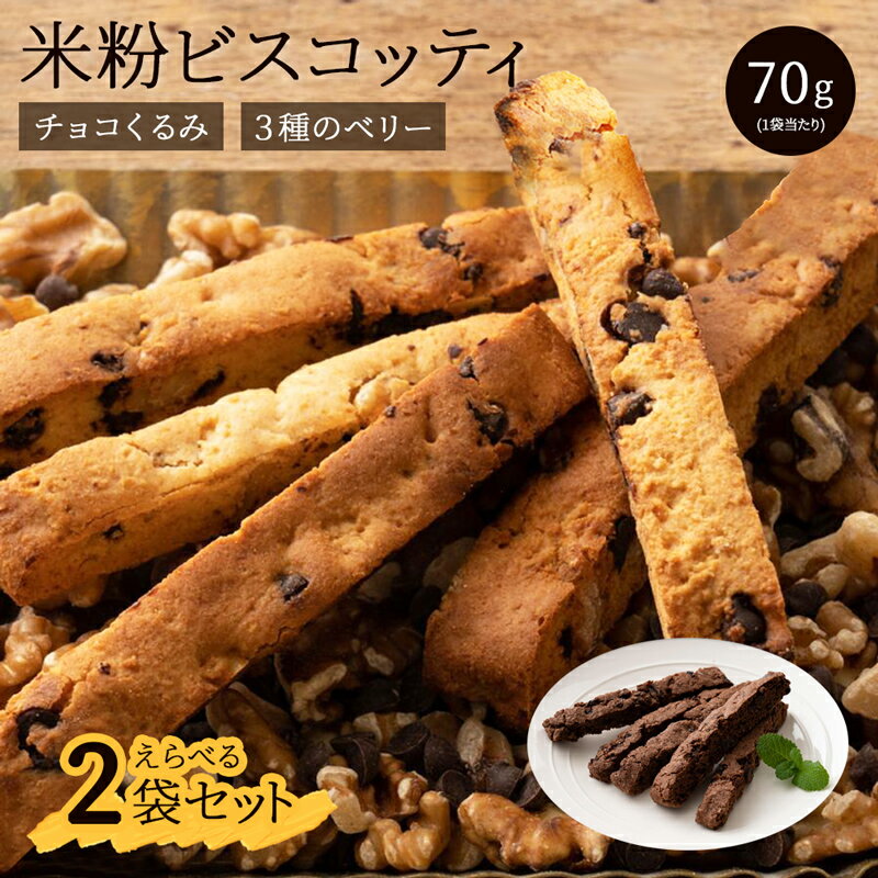 【選べる2袋セット】 国産 米粉 ビスコッティ チョコ くるみ ドライフルーツ ココア グルテンフリー 小..