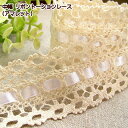 楽天市場 中幅 トーションレース リボン通し フレジェ カット売り レース 綿 手芸 手芸レースのフェアリーレース 未購入を含む みんなのレビュー 口コミ
