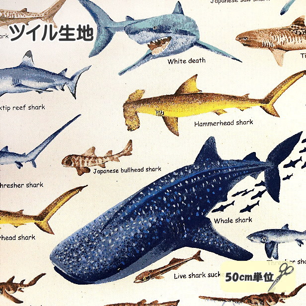 樂天商城 - ツイル 生地 サメ 図鑑 サメ柄 鮫 さめ シャーク Shark 魚 入園入学 通園通学 布 綿100% 男の子 手芸
