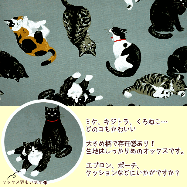 サンプル画像3