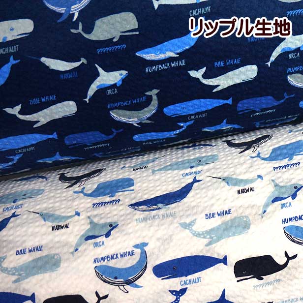 リップル生地 ミニミニ クジラ柄 小