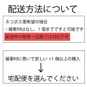 木製がま口 角型 口金 大 20cm 木 木製がま口バック 丸玉 カン付き ネジ式差込 手芸 2