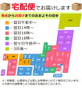 【クワガタ/カブトムシラジコン 選べる2種類！】 rc ラジコン オオクワガタ ノコギリクワガタ おもちゃ 電池式 プレゼント 子ども ギフト 男の子 誕生日 こどもの日 クリスマス かぶとむし リモコン 昆虫 甲虫 電動 単3 【325081-22】 2