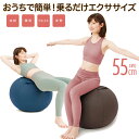 バランスボール 55cm カバー付き 台座付き エアーポンプ付き エクササイズ ダイエット ウエスト 体幹 ダイエットグッズ 筋肉 トレーニング シェイプ ヒップアップ バランス 姿勢 改善 ストレッチ 引き締め 筋トレ 運動不足 解消 簡単 【328409】