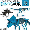 【選べる3個セット】全14種 ダンボールクラフト ダイナソー ペーパークラフト 恐竜 骨格 工作キット プラモデル 模型 飾れる 小学生 男の子 自由研究 夏休...