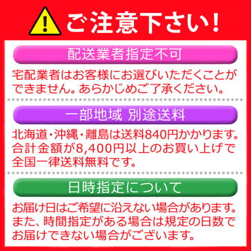 【送料無料】こんにゃくパスタ 人気12食 ダイエット食品 セット ランキング　ローカロリー ダイエット食品 こんこんにゃく麺 低糖質 にゃくラーメンシリーズ 蒟蒻麺 ロカボ ダイエット 麺類 昼食【221003-12】