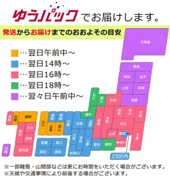 【送料無料＋選べるおまけ!】こんにゃくチップ 焼きせんべい こんにゃく ダイエット 低カロリー チップス ポテトチップス じゃがいも 置き換え ダイエット お菓子 ダイエット食品 食物繊維 ヘルシー 健康食品 ダイエットフード 低GI 【325096】