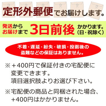 炭入り 消臭 ベッド下 収納 衣類収納ケース 衣装収納 衣装ケース【321084】