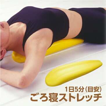 【送料無料】体幹 トレーニング ダイエット 背中の歪み エクササイズ ダイエット器具 メタボリック シェイプアップ 体幹 メタボ エクササイズグッズ トレーニング シェイプ バランス 全身運動【334127】