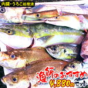 【漁師激選】鮮魚 詰め合わせ 鮮魚ボックス 魚 詰め合わせ 鮮魚 おまかせ 福袋 鮮魚 下処理済み 刺身 さしみ 取り寄せ お取り寄せ 鮮魚 直送 鮮魚セット おいしい 美味しい 海鮮 詰め合わせ 鮮魚セット 送料無料 産地直送【送料無料】【325196-4880】