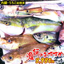 【漁師激選】詰め合わせ 鮮魚 下処理 直送 鮮魚 鮮魚ボック