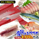 【漁師激選】 鮮魚 柵 詰め合わせ 三枚おろし 下処理 鮮魚ボックス 魚 詰め合わせ おまかせ 福袋 鮮魚 直送 刺身 さしみ 取り寄せ お取り寄せ 鮮魚 直送 鮮魚セット 送料無料 おいしい 美味しい 海鮮 詰め合わせ 鮮魚BOX 産地直送 【送料無料】【325197-5880-00】 その1