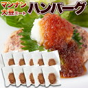 【ポイント3倍 16日1:59まで】 ソイミート 置き換え ヴィーガン 大豆ミート ハンバーグ 10個 ベジタリアン ダイエット グルテンフリー 肉 代用 カロ...