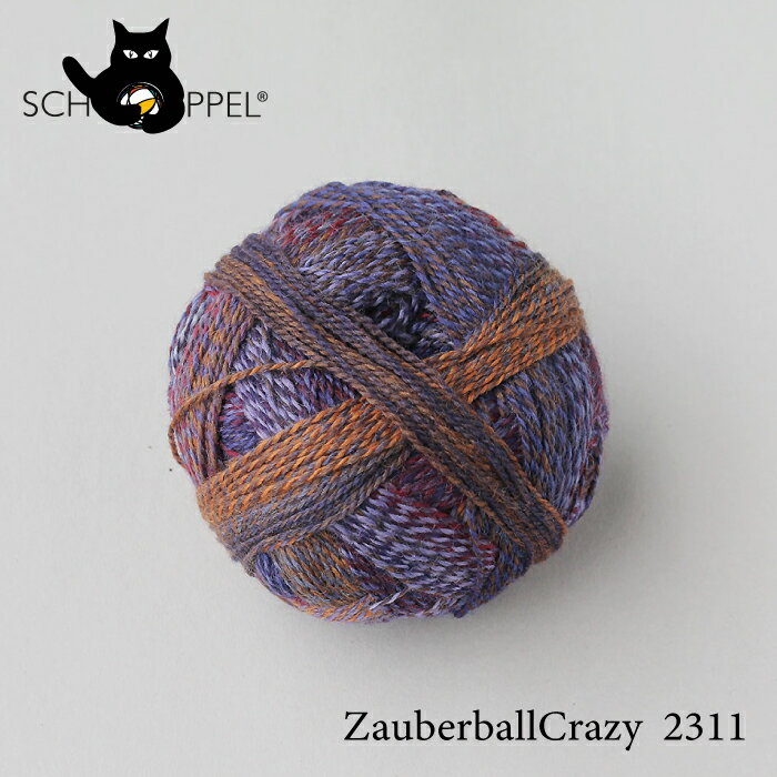 ショッペル SCHOPPEL 靴下用毛糸 CRAZY ZAUBERBALL 2311 ドイツ製 編み物 手編み ハンドメイド