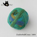 ショッペル SCHOPPEL 靴下用毛糸 ZAUBERBALL CRAZY（ザウバーボール クレイジー）2404 ドイツ製 編み物 手編み ハンドメイド☆ショッペル