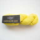 Cascade 220(カスケードヤーン)1070 毛糸 手編み 手あみ 編み物☆カスケードヤーン