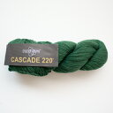 Cascade 220(カスケードヤーン)8267 毛糸 手編み 手あみ 編み物☆カスケードヤーン