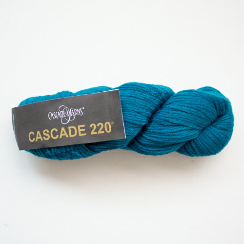 Cascade 220（カスケードヤーン）8892 毛糸 手編み 手あみ 編み物☆カスケードヤーン