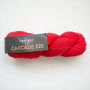 Cascade 220iJXP[h[j8895 ю ҂ 肠 ҂ݕJXP[h[