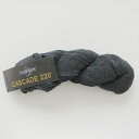 Cascade 220(カスケードヤーン)1091 毛糸 手編み 手あみ 編み物☆カスケードヤーン