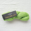Cascade 220(カスケードヤーン)8910 毛糸 手編み 手あみ 編み物☆カスケードヤーン