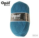 ю Opal Ip[ Uni 9934 / u[O[ Ă j _j jbg ҂ ҂ݕ | nhCh 聙Ip[