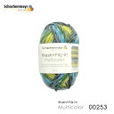 Schachenmayr Wash+Filz-it! Multicolor 00253 /pastell-gelb color kOp ю ҂ݕ ݂ Ă j _j jbg ҂ | nhCh yNlRDMցElR|Xsz