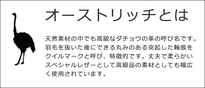 【送料無料】オーストリッチ 長財布 レディース ウォレット 本革 高級 上質 財布 母の日