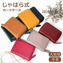 カードケース レディース 薄型 Melody メロディー レザーカードケース 12704 レディース ミニ財布 メンズ お母さん プレゼント おしゃれ 人気 レディースカードケース 革 レザー ピンク 緑 赤 カードルダー 茶 ファスナー 大容量 シンプル 女性 クリスマス 名刺入れ