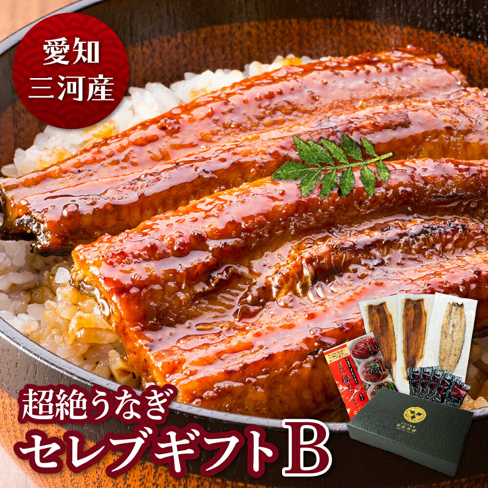 愛知三河産　超絶うなぎうなぎ 蒲焼き ギフト 父の日 母の日 敬老の日 食べ物 プレゼント 鰻 ウナギ 蒲焼 国産 国内産 お祝い 内祝い 結婚内祝い グルメ 丑の日 土用の丑の日 冷凍食品 送料無料