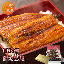 愛知三河一色産　巨匠の鰻蒲焼（119g-134g）×中2尾うなぎ 蒲焼き ギフト 父の日 母の日 敬老の日 食べ物 プレゼント 鰻 ウナギ 蒲焼 国..