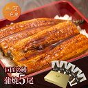 愛知三河一色産 巨匠の鰻蒲焼(119g-134g)×中5尾 5人前うなぎ 蒲焼き ギフト 父の日 母の日 敬老の日 食べ物 プレゼント 鰻 ウナギ 蒲焼 国産 国内産 お祝い 内祝い 結婚内祝い グルメ 丑の日 土用の丑の日 冷凍食品 送料無料