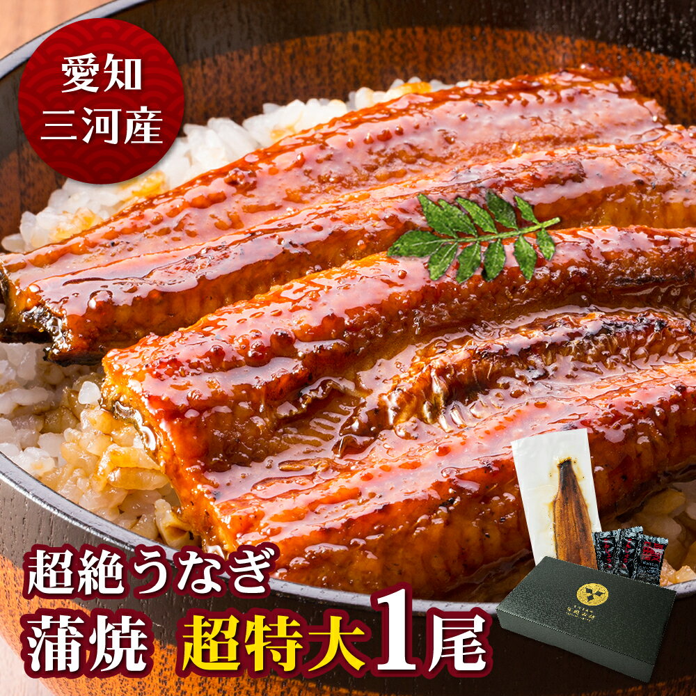 愛知三河産　超絶うなぎ蒲焼（269g-309g）×超特大1尾　2.5人前うなぎ 蒲焼き ギフト 父の日 母の日 敬老の日 食べ物 プレゼント 鰻 ウナギ 蒲焼 国産 国内産 お祝い 内祝い 結婚内祝い グルメ 丑の日 土用の丑の日 冷凍食品 送料無料